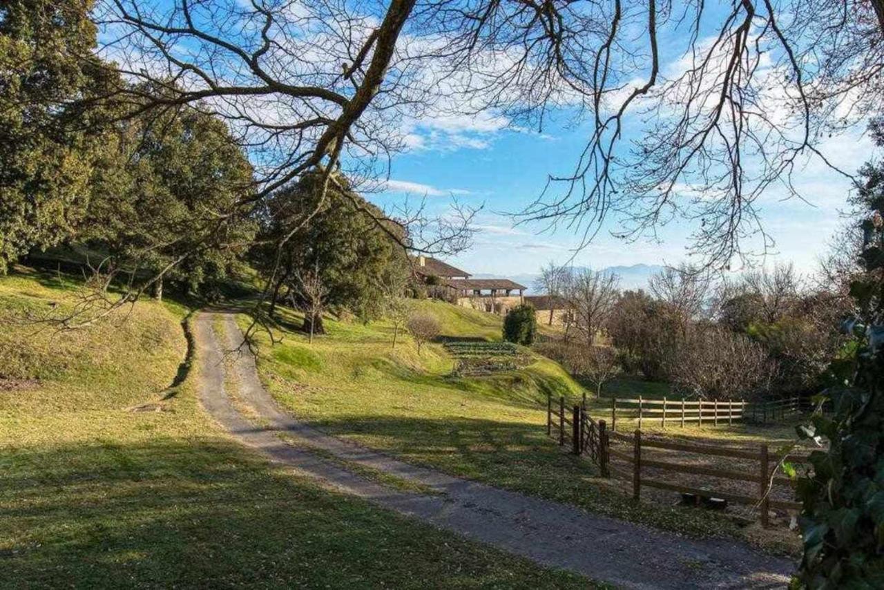 Mas Redortra Excepcional Masia Del Sxv Con Vistas Al Montseny San Pedro de Torelló 외부 사진